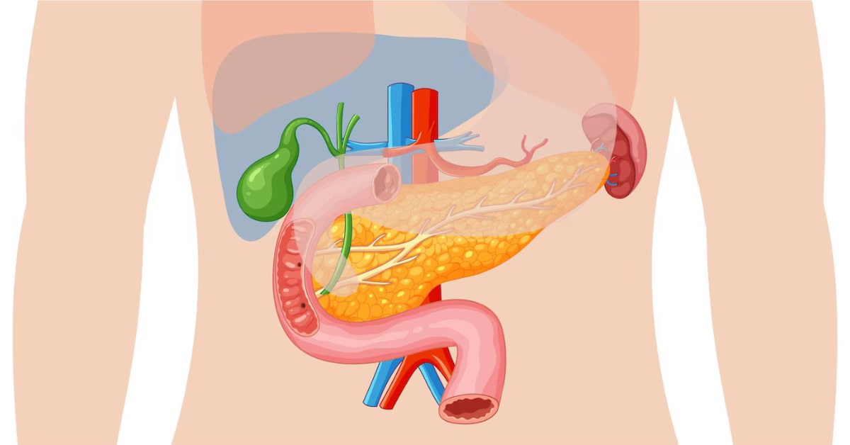 पित्ताशय उपचार