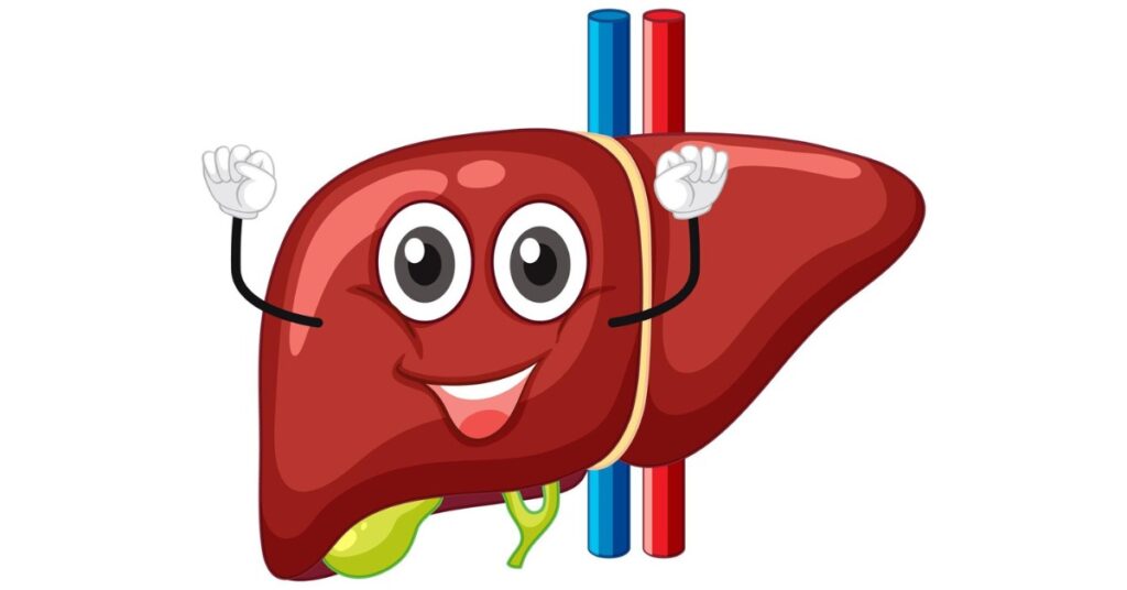 Inflammation of the Liver