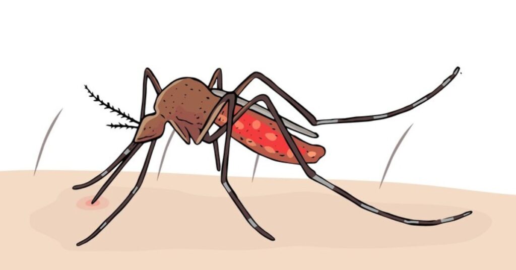 मलेरिया